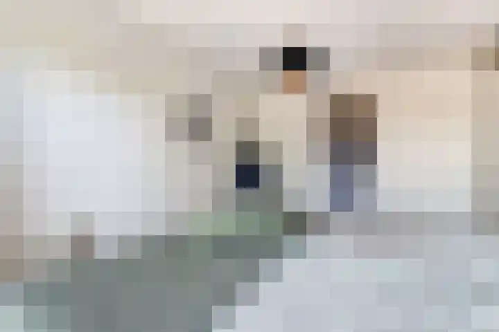 De Driesten 9 Ermelo thumbnail 22