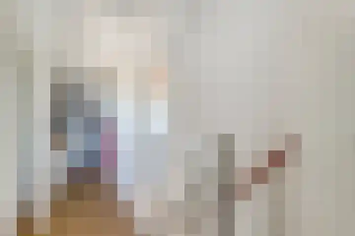 De Driesten 9 Ermelo thumbnail 31