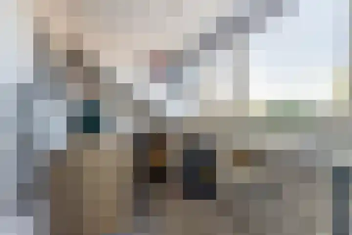 De Driesten 9 Ermelo thumbnail 32