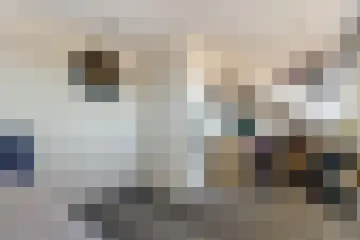 De Driesten 9 Ermelo thumbnail 33