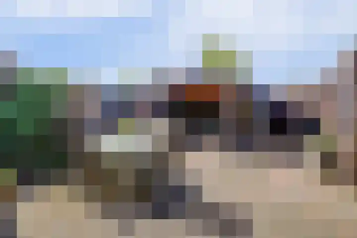 De Driesten 9 Ermelo thumbnail 37