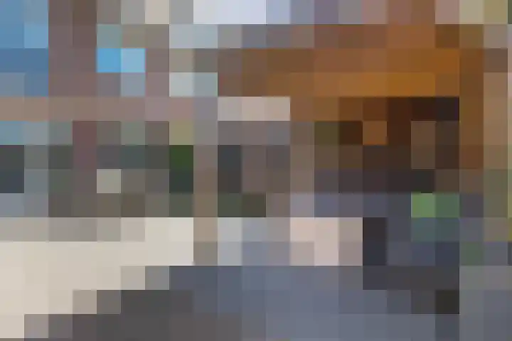 De Driesten 9 Ermelo thumbnail 39