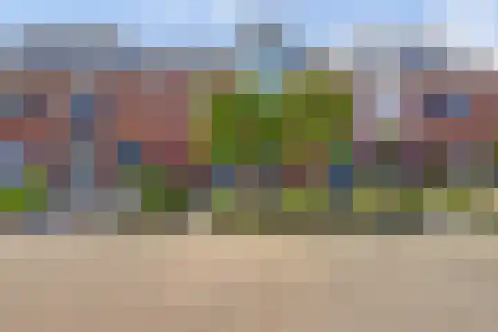 De Driesten 9 Ermelo thumbnail 44