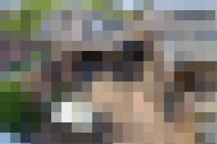 De Driesten 9 Ermelo thumbnail 48