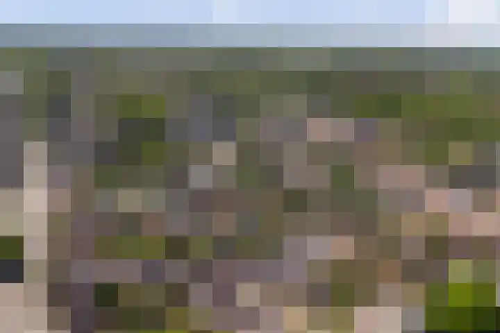 De Driesten 9 Ermelo thumbnail 50