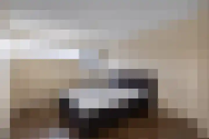 De Drift 26 Bolsward thumbnail 23