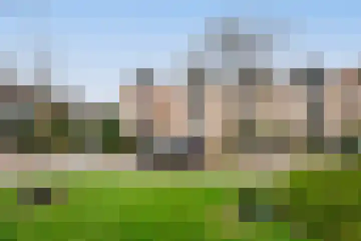 De Drost 3 Huizen