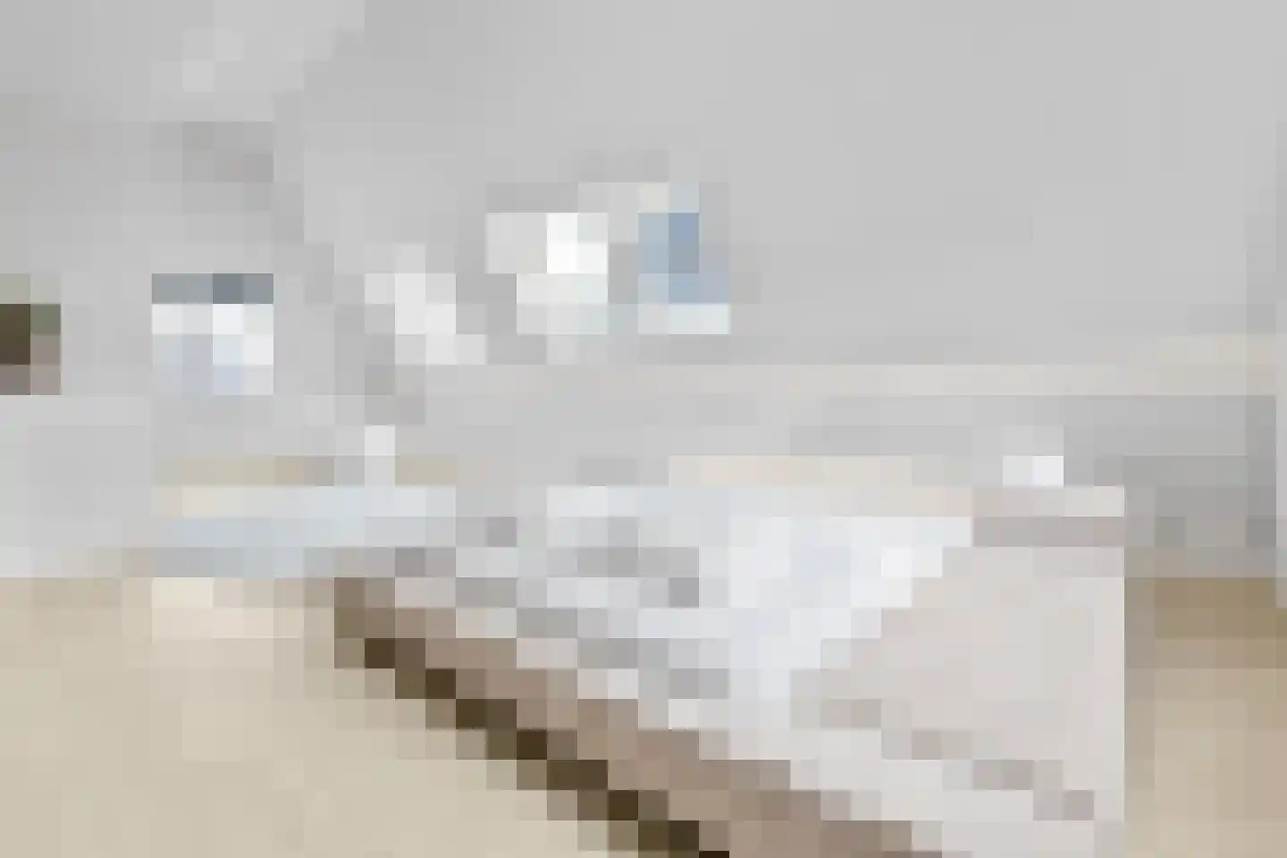 De Druiventrap 30 Wateringen thumbnail 27