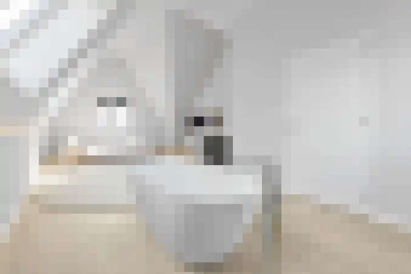 De Druiventrap 30 Wateringen thumbnail 29