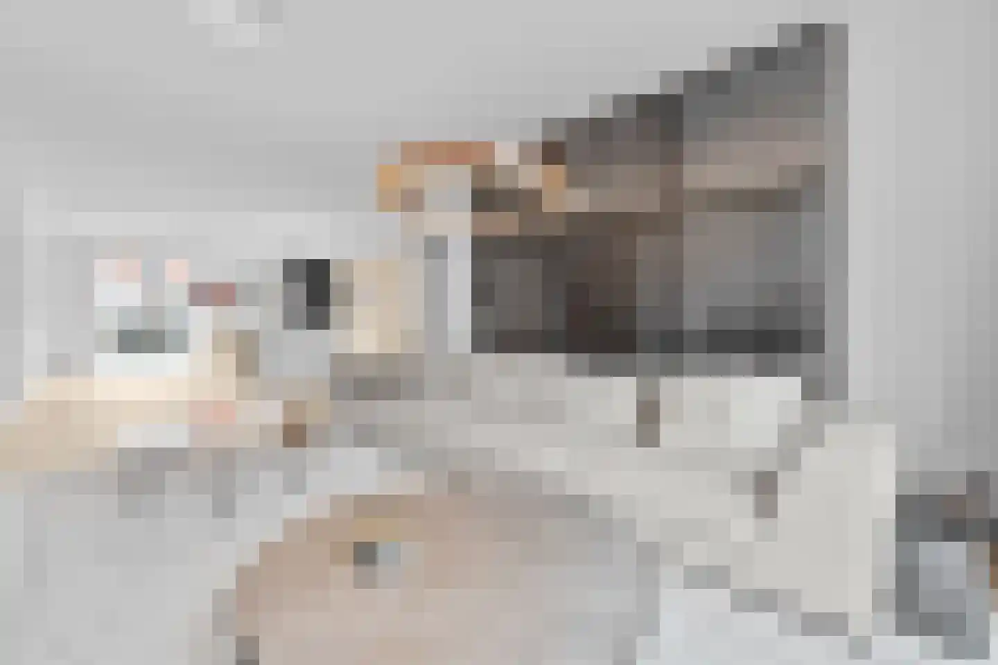 De Druiventrap 30 Wateringen thumbnail 7