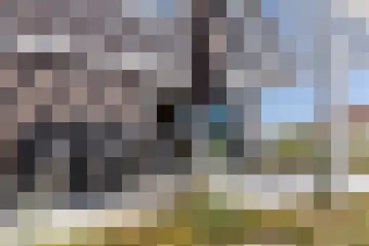 de Duinen 220 Ouddorp thumbnail 34