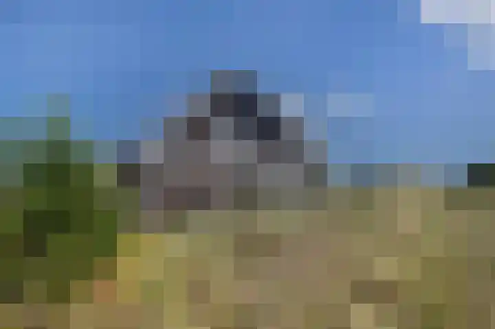de Duinen 220 Ouddorp thumbnail 36