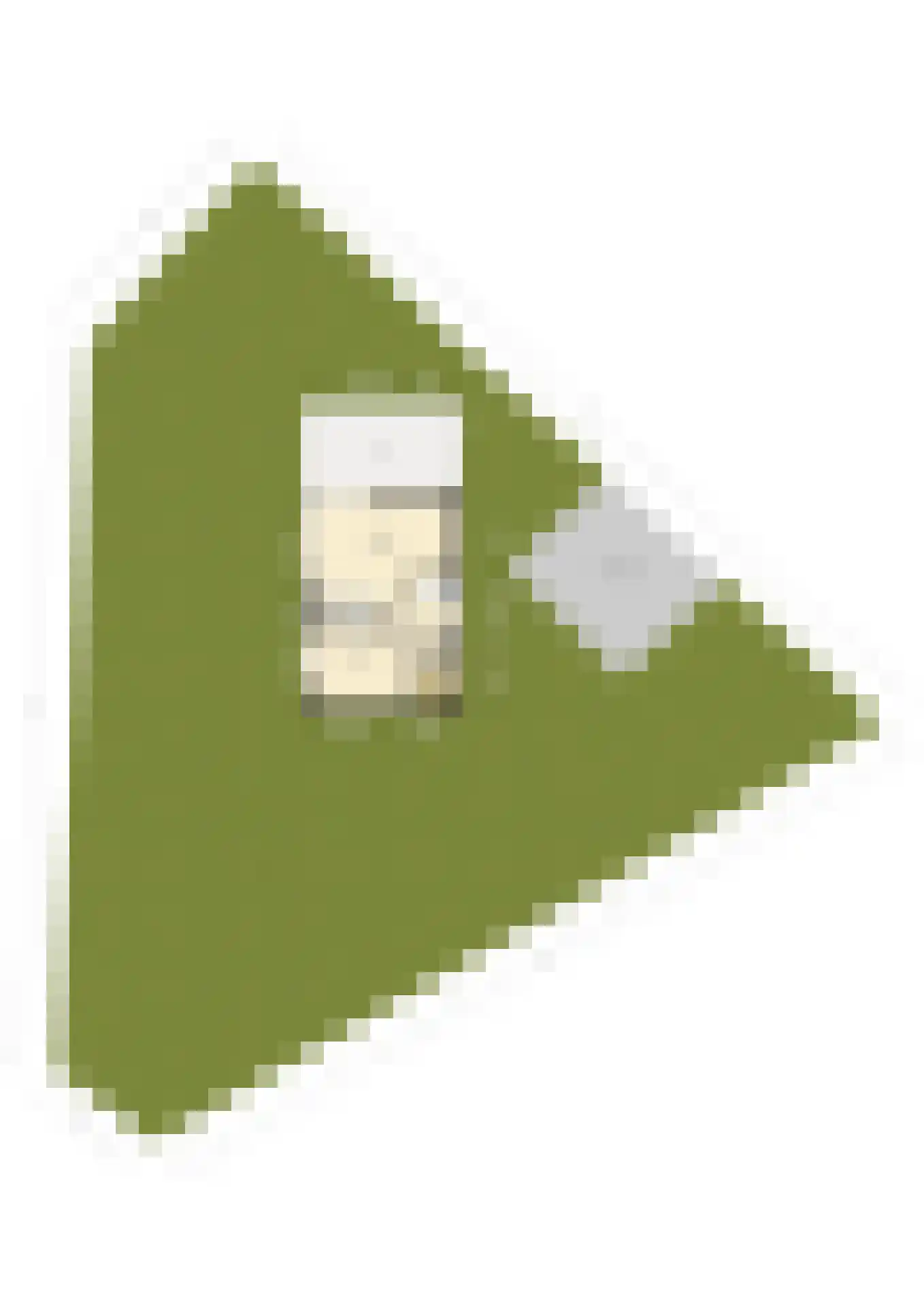 de Duinen 347 Ouddorp thumbnail 33