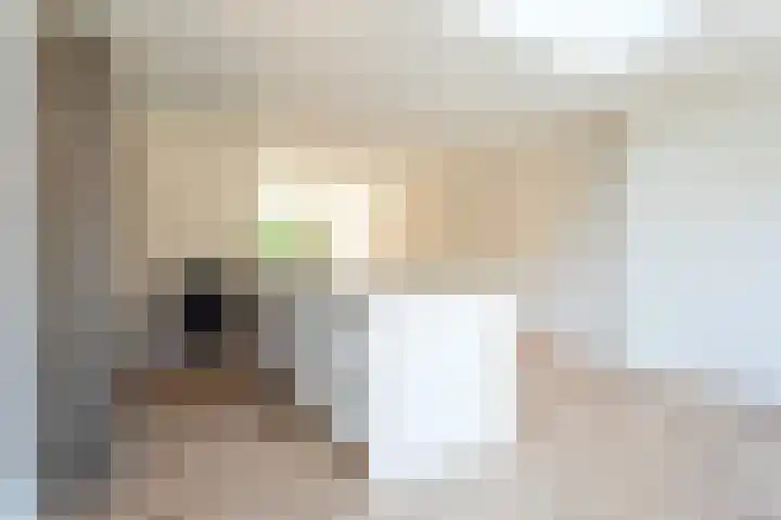 de Duinen 363 Ouddorp thumbnail 10