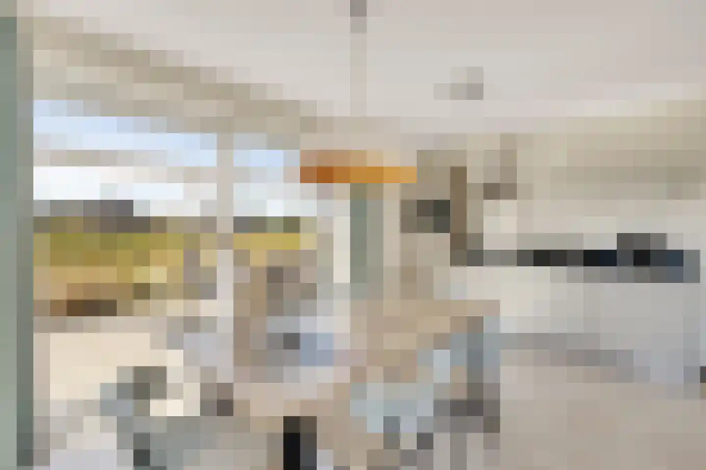 de Duinen 414 Ouddorp thumbnail 9