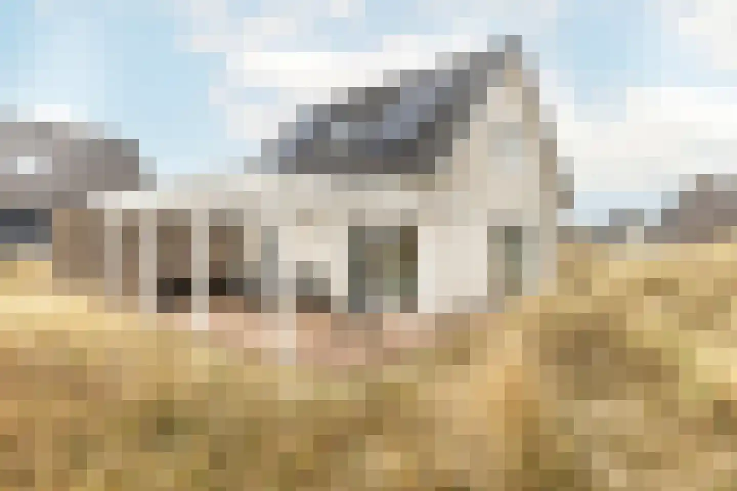 de Duinen 512 Ouddorp thumbnail 32