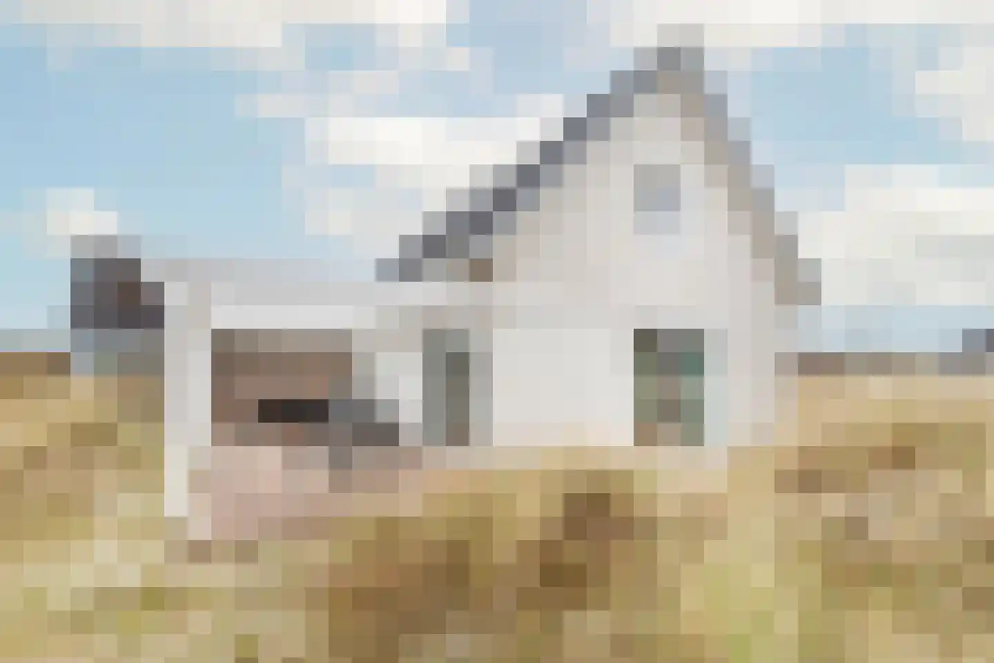 de Duinen 512 Ouddorp thumbnail 34
