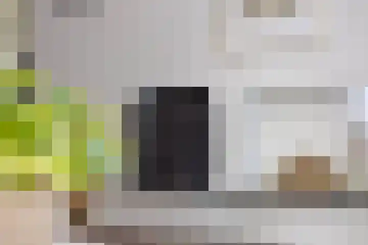 De Duivenekker 3 Berlicum thumbnail 12