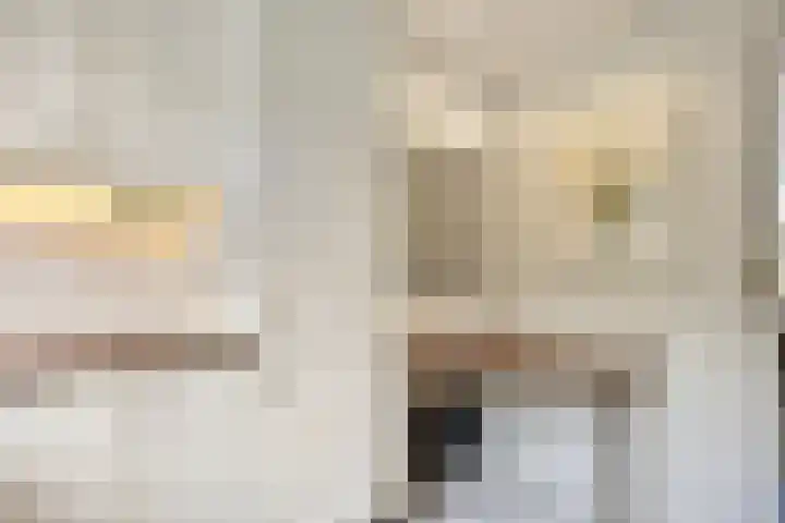 De Duivenekker 3 Berlicum thumbnail 23