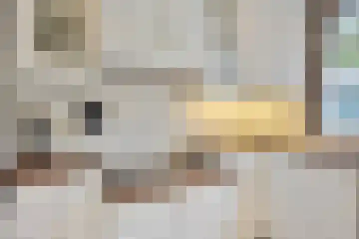 De Duivenekker 3 Berlicum thumbnail 24