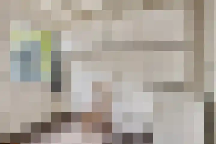De Duivenekker 3 Berlicum thumbnail 26