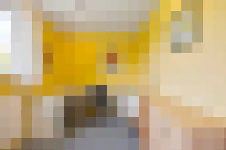 De Duivenekker 3 Berlicum thumbnail 39