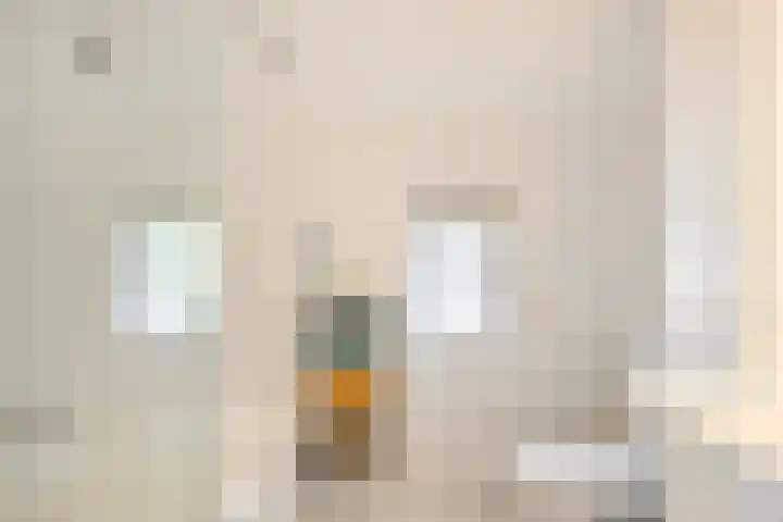 De Duivenekker 3 Berlicum thumbnail 4