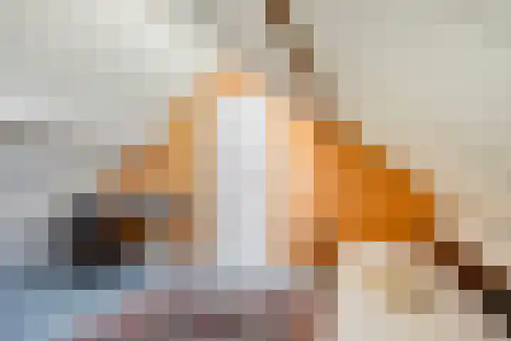 De Duivenekker 3 Berlicum thumbnail 42