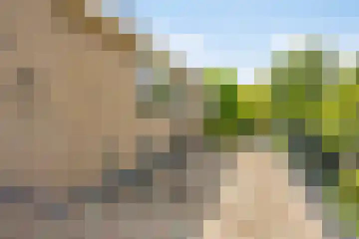 De Duivenekker 3 Berlicum thumbnail 45