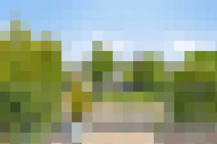 De Duivenekker 3 Berlicum thumbnail 47
