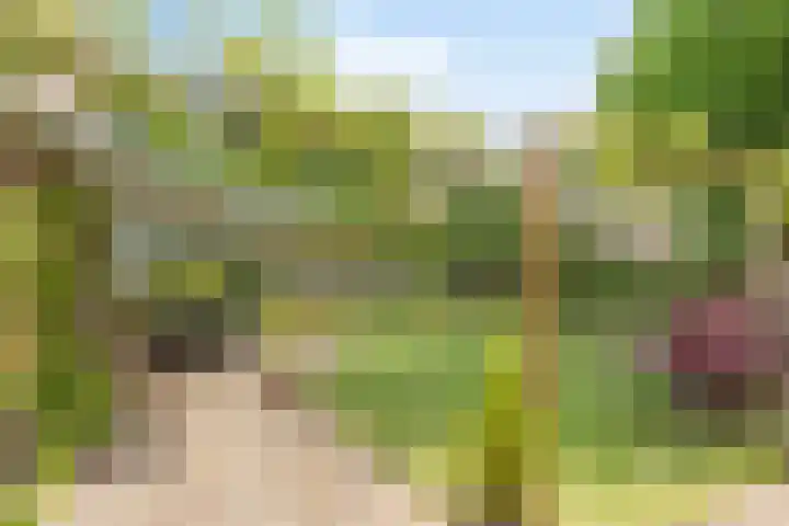 De Duivenekker 3 Berlicum thumbnail 49