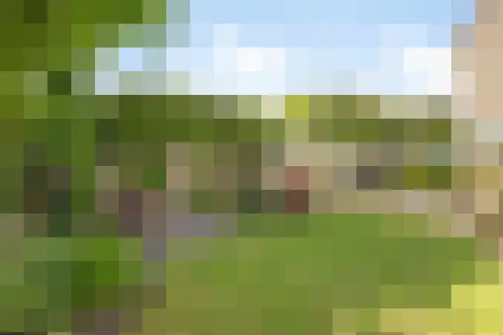 De Duivenekker 3 Berlicum thumbnail 5