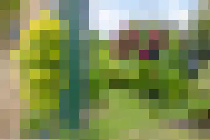 De Duivenekker 3 Berlicum thumbnail 50