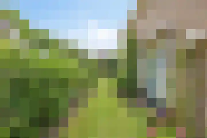 De Duivenekker 3 Berlicum thumbnail 51