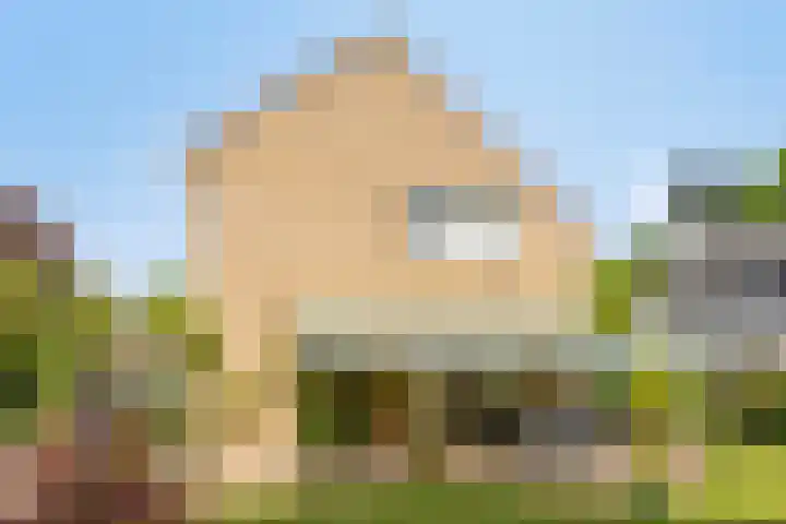 De Duivenekker 3 Berlicum thumbnail 52