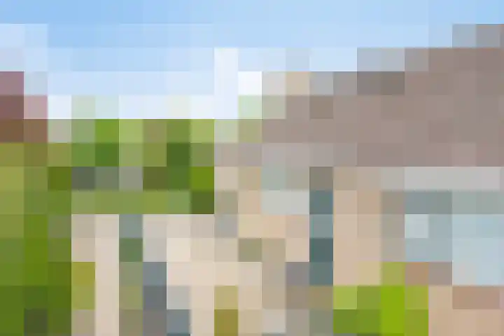 De Duivenekker 3 Berlicum thumbnail 58