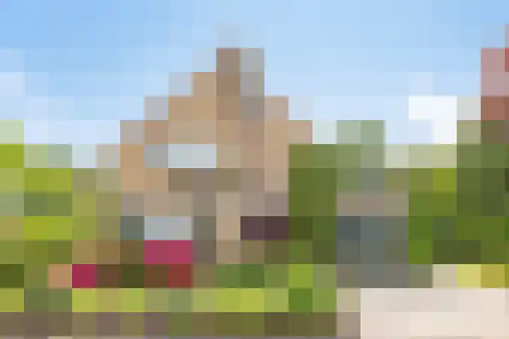 De Duivenekker 3 Berlicum thumbnail 6