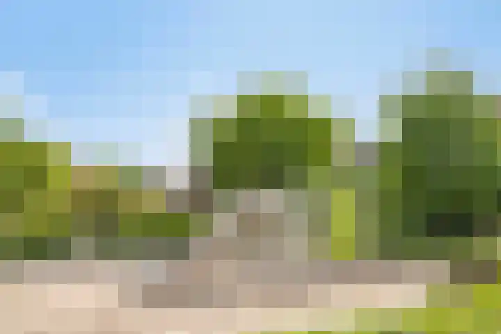 De Duivenekker 3 Berlicum thumbnail 62