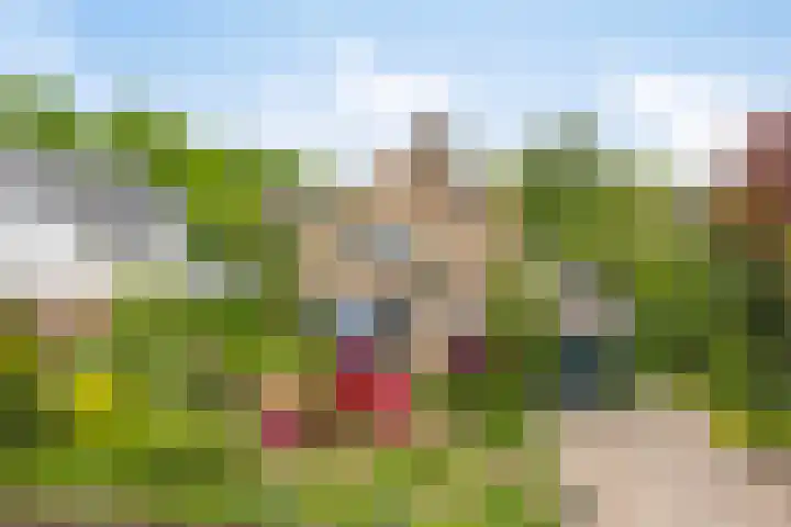 De Duivenekker 3 Berlicum thumbnail 64