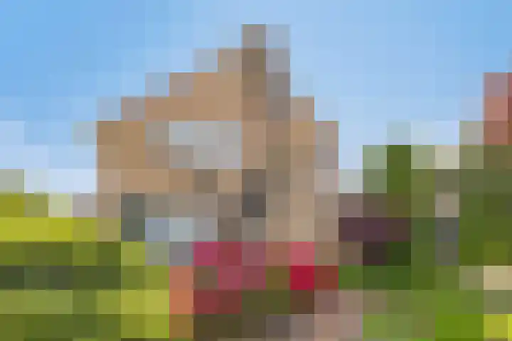 De Duivenekker 3 Berlicum thumbnail 66