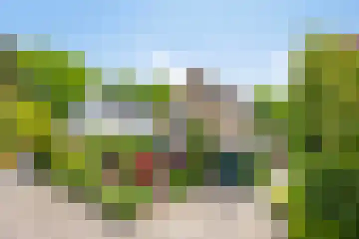 De Duivenekker 3 Berlicum thumbnail 68