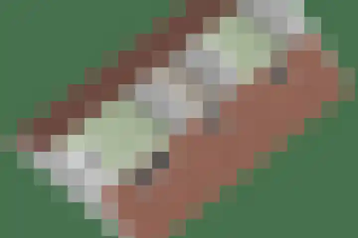 De Duivenekker 3 Berlicum thumbnail 76