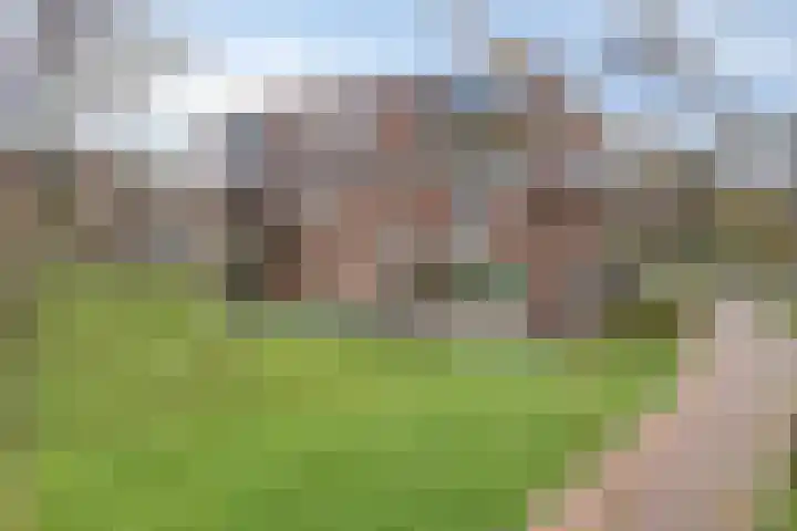 De Dukdalf 49 Dronten