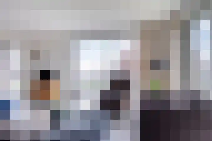 De Dukdalf 49 Dronten thumbnail 17