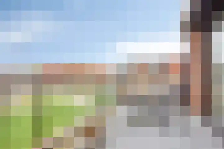 De Dukdalf 49 Dronten thumbnail 21