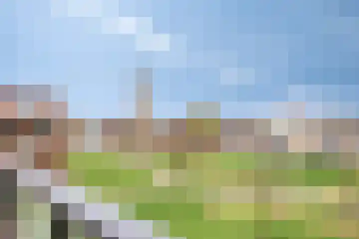 De Dukdalf 49 Dronten thumbnail 22