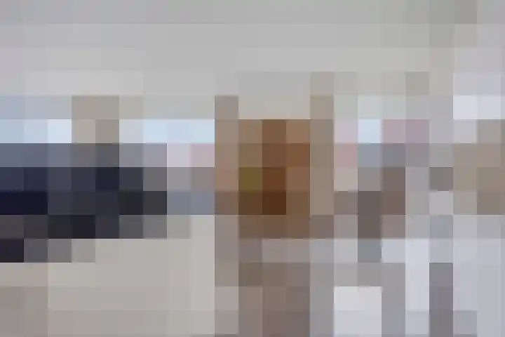 De Dukdalf 49 Dronten thumbnail 25