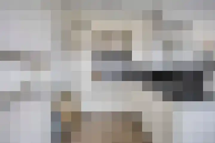De Dukdalf 49 Dronten thumbnail 26