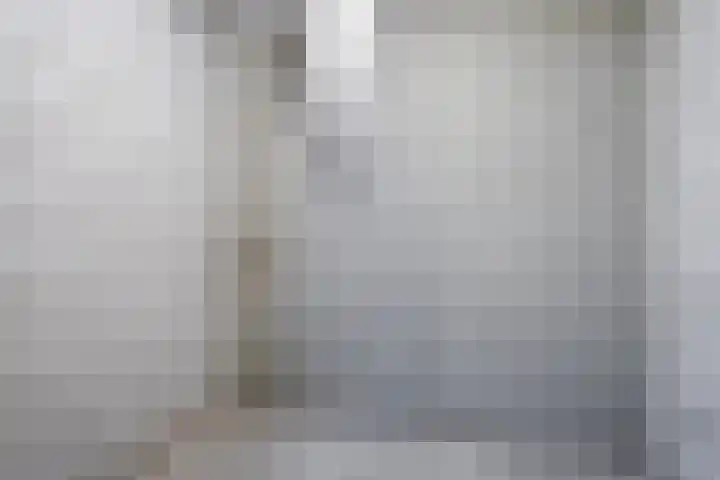 De Dukdalf 49 Dronten thumbnail 34