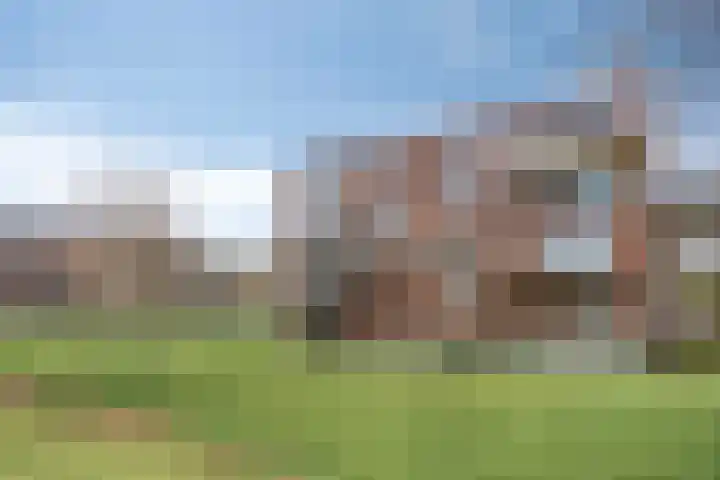 De Dukdalf 49 Dronten thumbnail 38